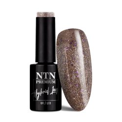 Gellack NTN Premium Celebration för naglar 166 brun glitter 5g