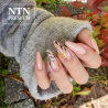 Gellack NTN Premium Day Dreaming för naglar 60 beige 5g