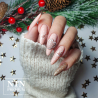 Gellack NTN Premium Day Dreaming för naglar 60 beige 5g