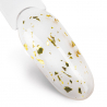 Top Coat Drop Flakes utan klibbigt lager NTN Premium Golden för naglar 7g