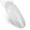 Top Coat Quick Finish Diamond Silver No Wipe utan klibbigt lager NTN Premium för naglar 7g