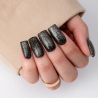 Top Coat Quick Finish Diamond Gold No Wipe utan klibbigt lager NTN Premium för naglar 7g