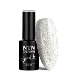 Gellack NTN Premium Limited Edition för naglar 317 silver glitter 5g