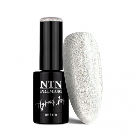 Gellack NTN Premium Limited Edition för naglar 317 silver glitter 5g