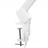 Arbetslampa / bordslampa ELEGANTE BAS LED vit