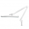 Arbetslampa / bordslampa ELEGANTE 801-S LED vit