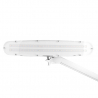 Arbetslampa / bordslampa ELEGANTE 801-TL LED vit med bas