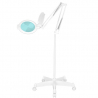Förstoringslampa / arbetslampa LED MOONLIGHT 8013/6 vit med stativ