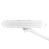 Arbetslampa / bordslampa vit ELEGANTE 801-L LED stativ, justerbar ljus