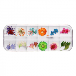 Nageldekoration set 1 med torkade blommor och växter