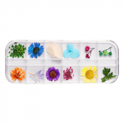 Nageldekoration set 2 torkade blommor och växter